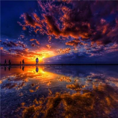 998娱乐彩票安卓APPapp下载截图